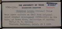 Image Associated With the Occurence